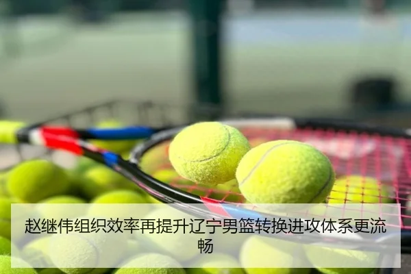 赵继伟组织效率再提升辽宁男篮转换进攻体系更流畅